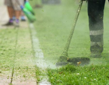 How Often Should You Edge? A Simple Schedule for Chicagoland Lawns Thumbnail