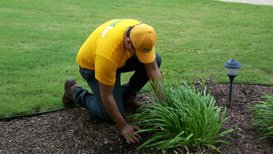 Landscaping Services in Palatine & Arlington Heights, IL