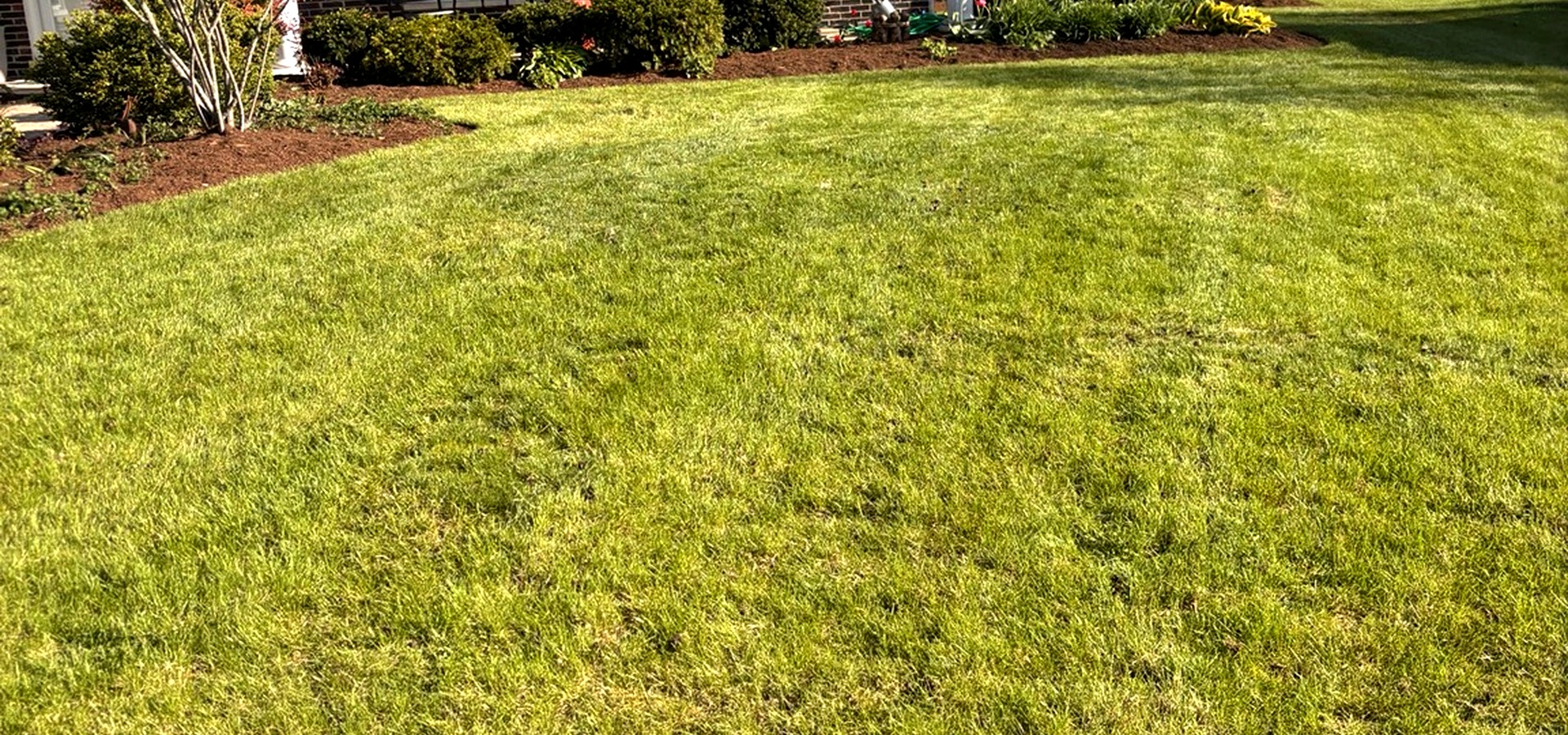 Lawn Aeration, Power Raking & Overseeding in Wauconda, IL