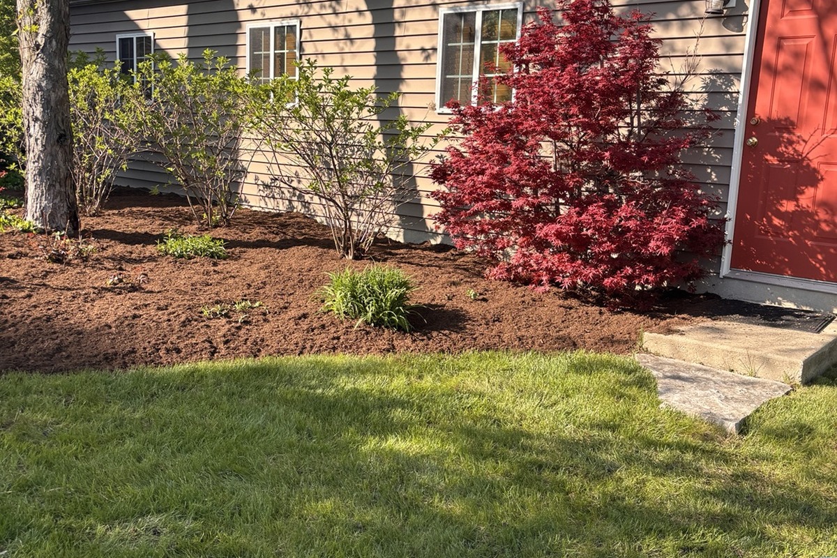 Mulch Installation Services in  Palatine