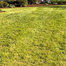Mulch-Installation-Services-in-Palatine 1