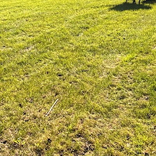 Mulch-Installation-Services-in-Palatine 0