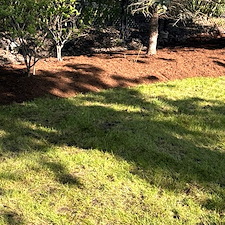 Mulch-Installation-Services-in-Palatine 2