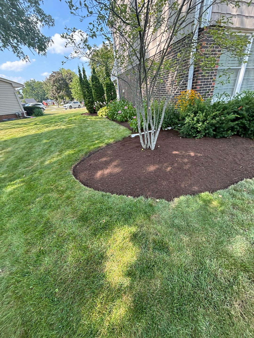 Spring Clean Up in Arlington Heights Around the Corner  Thumbnail